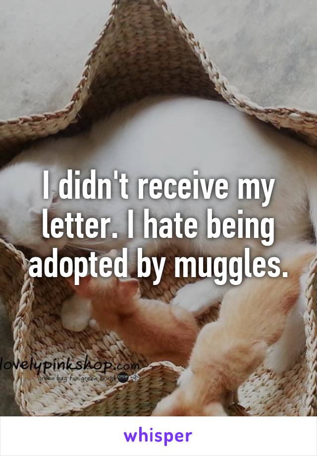 I didn't receive my letter. I hate being adopted by muggles.