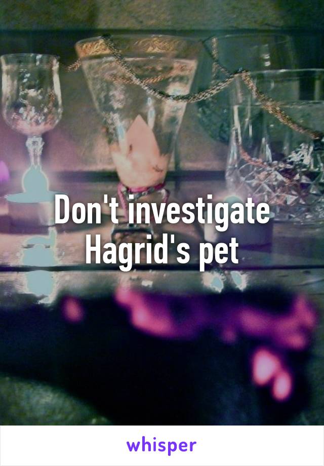 Don't investigate Hagrid's pet