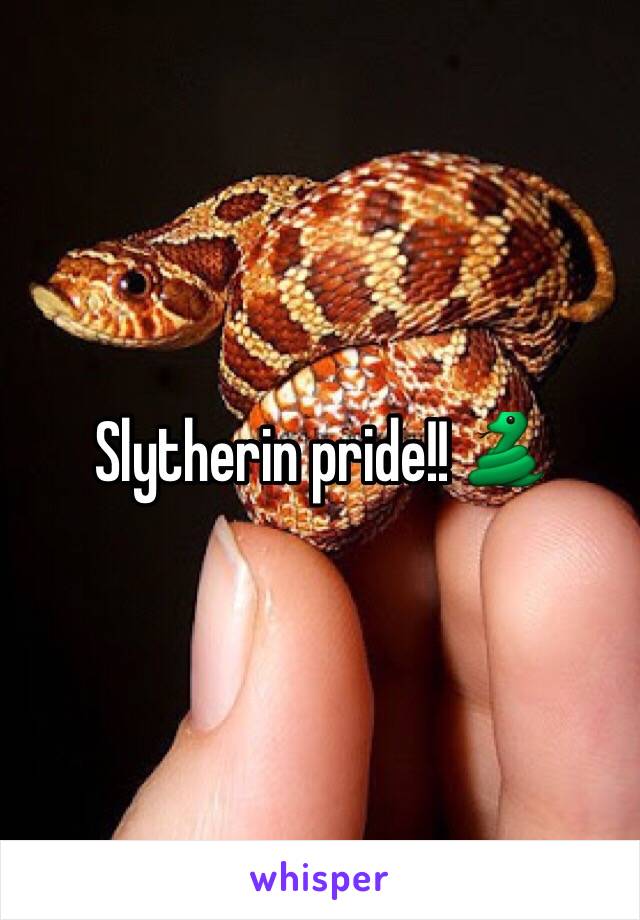 Slytherin pride!! 🐍