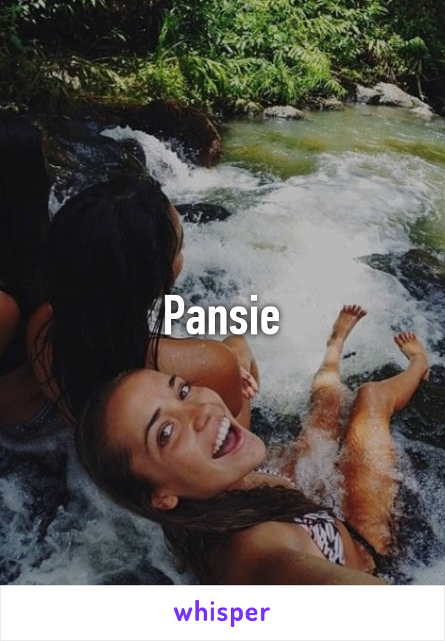 Pansie