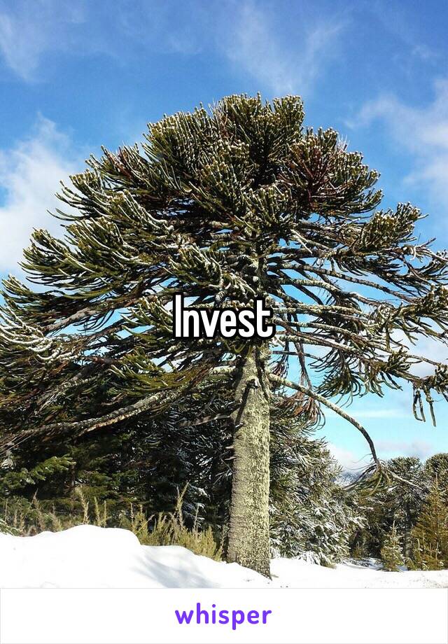 Invest 