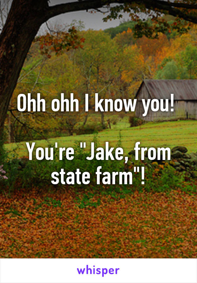 Ohh ohh I know you! 

You're "Jake, from state farm"!