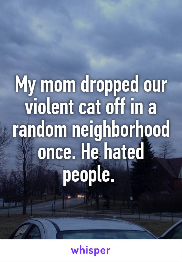 My mom dropped our violent cat off in a random neighborhood once. He hated people. 