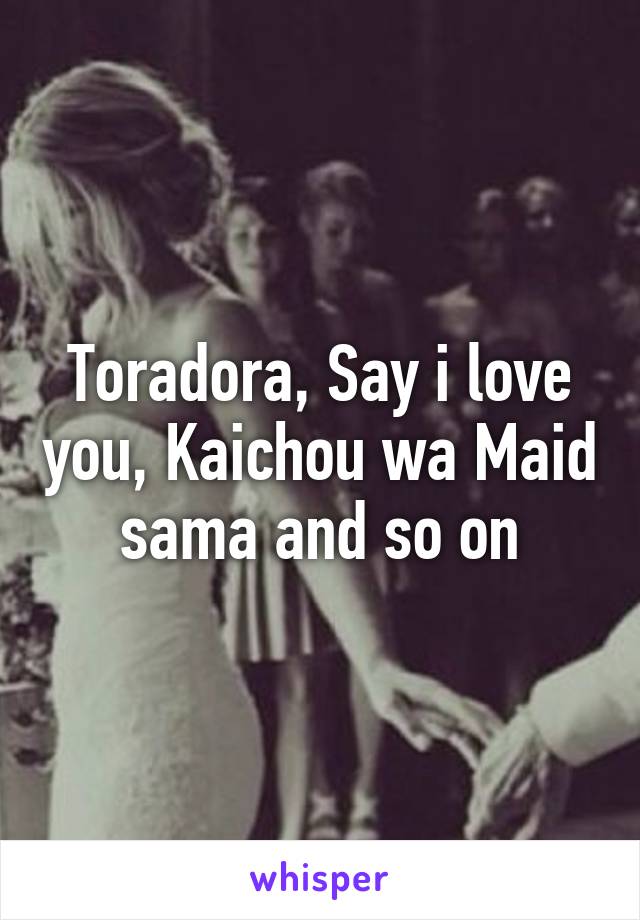 Toradora, Say i love you, Kaichou wa Maid sama and so on