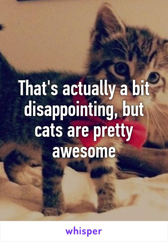 That's actually a bit disappointing, but cats are pretty awesome