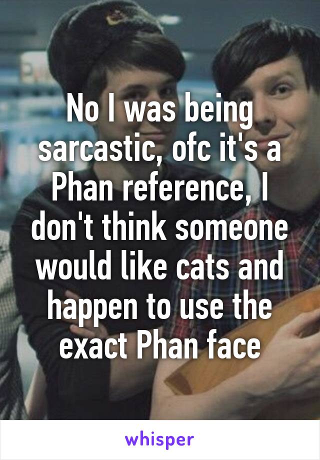 No I was being sarcastic, ofc it's a Phan reference, I don't think someone would like cats and happen to use the exact Phan face