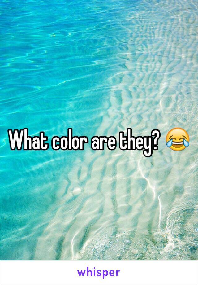 What color are they? 😂