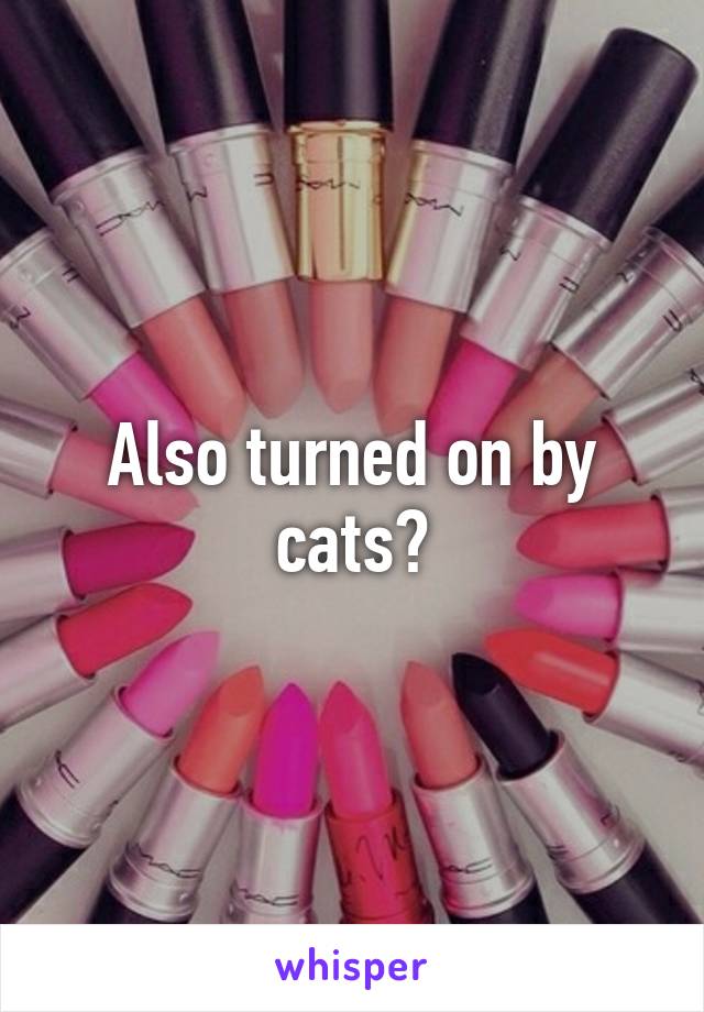 Also turned on by cats?