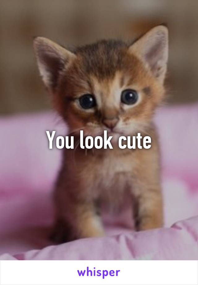 You look cute