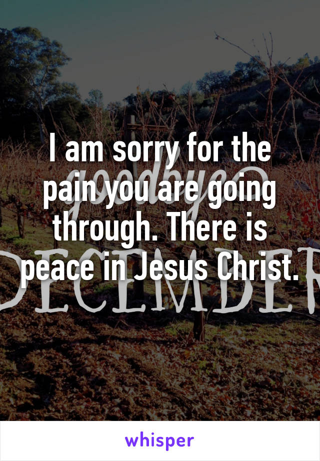 I am sorry for the pain you are going through. There is peace in Jesus Christ. 