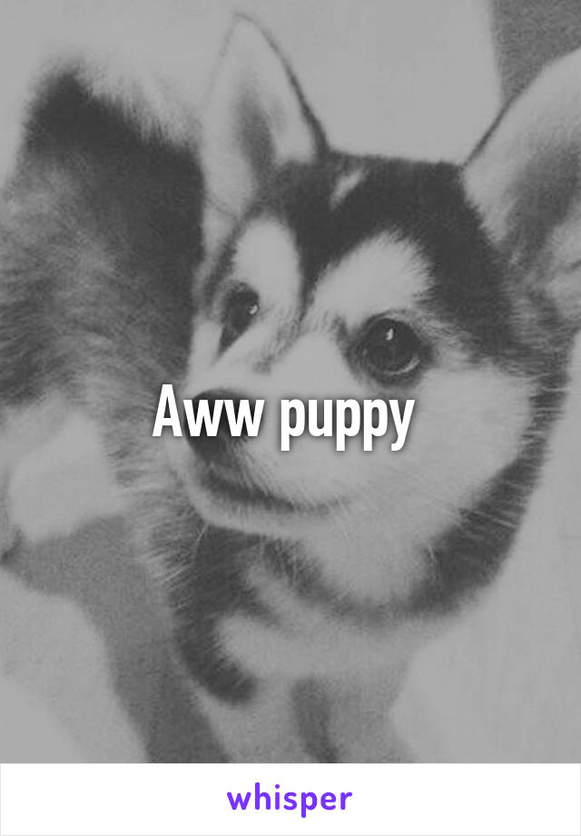 Aww puppy 