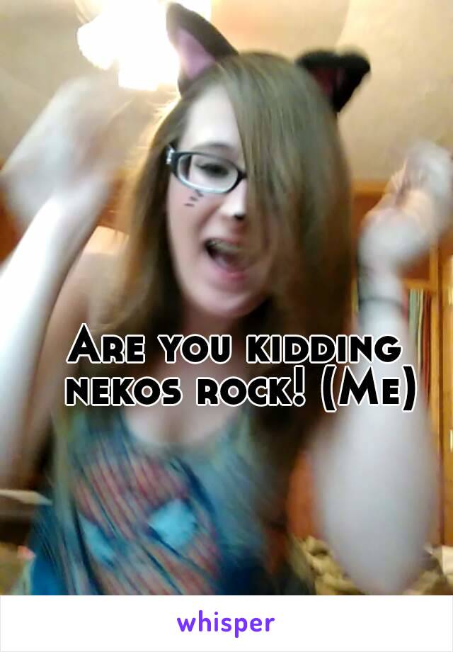 Are you kidding nekos rock! (Me)