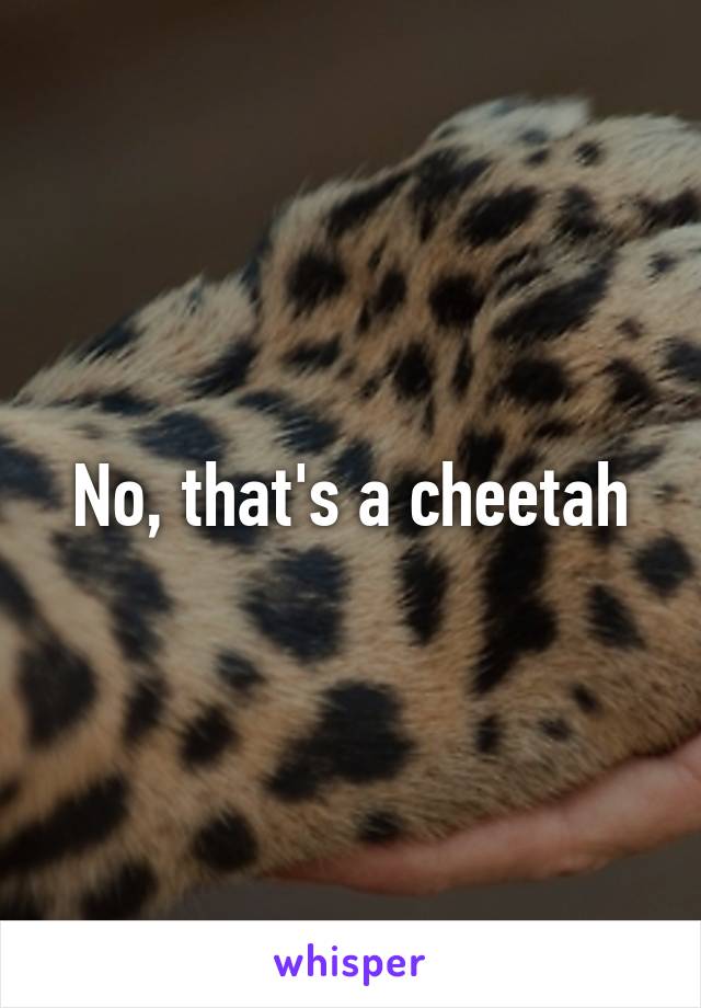 No, that's a cheetah