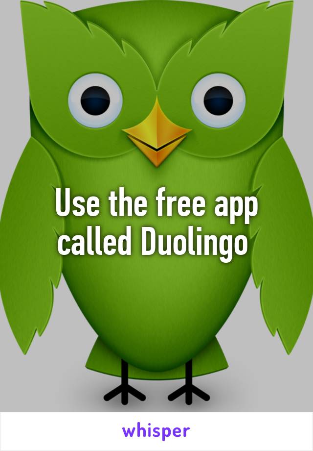 Use the free app called Duolingo 