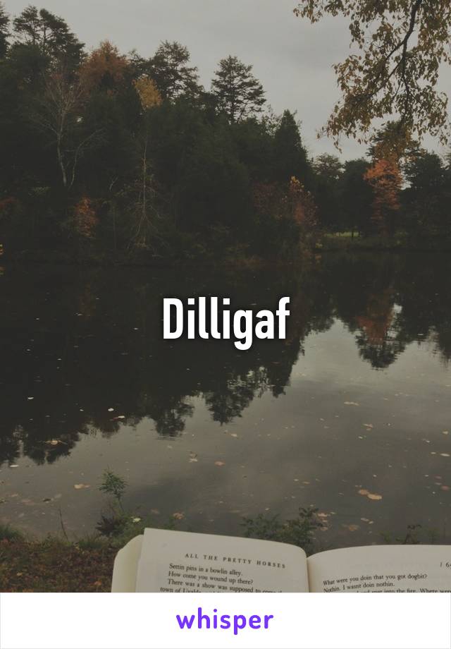 Dilligaf