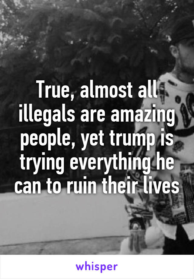 True, almost all illegals are amazing people, yet trump is trying everything he can to ruin their lives