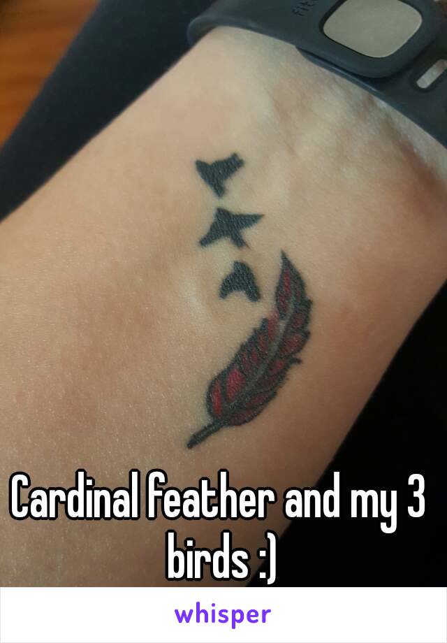 Cardinal feather and my 3 birds :)