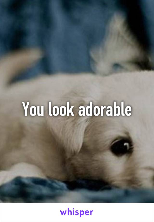 You look adorable