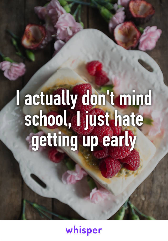 I actually don't mind school, I just hate getting up early