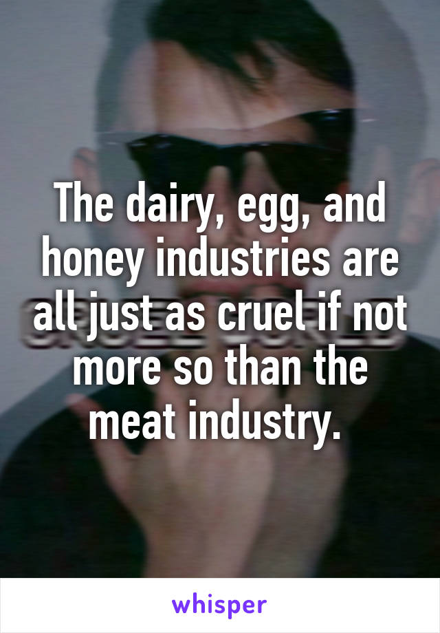 The dairy, egg, and honey industries are all just as cruel if not more so than the meat industry. 