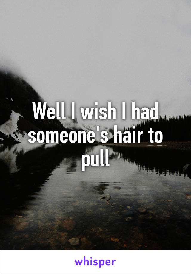 Well I wish I had someone's hair to pull