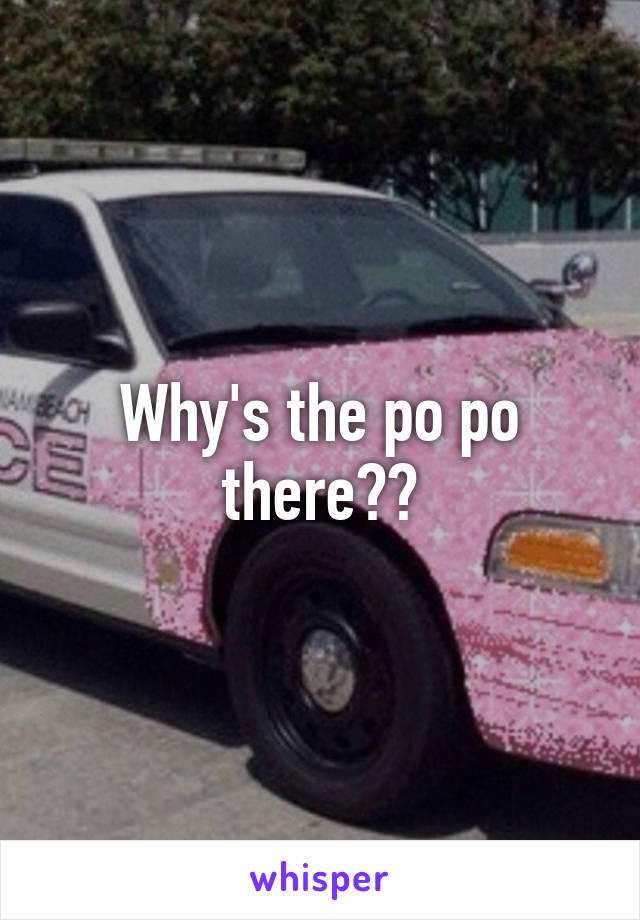 Why's the po po there??