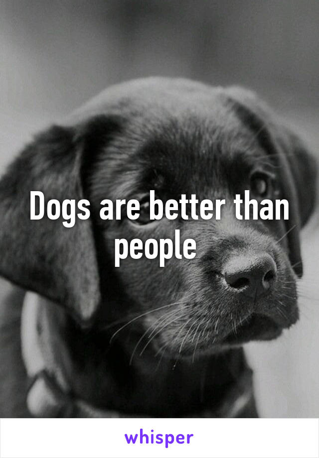Dogs are better than people 