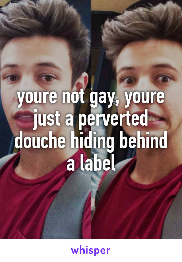 youre not gay, youre just a perverted douche hiding behind a label