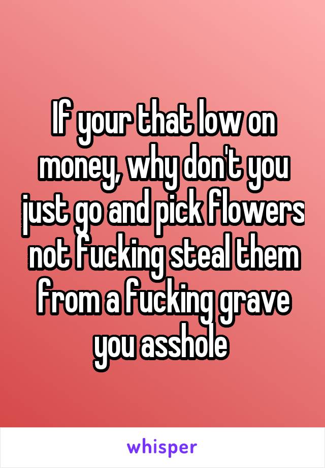If your that low on money, why don't you just go and pick flowers not fucking steal them from a fucking grave you asshole 