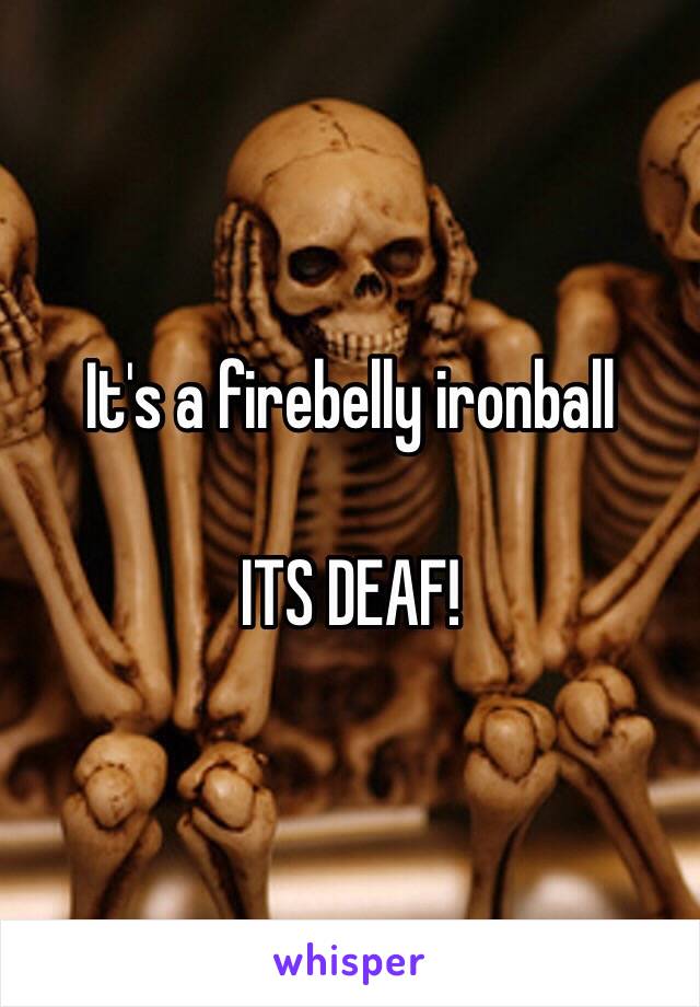 It's a firebelly ironball 

ITS DEAF!