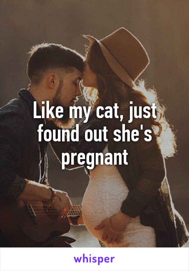 Like my cat, just found out she's pregnant