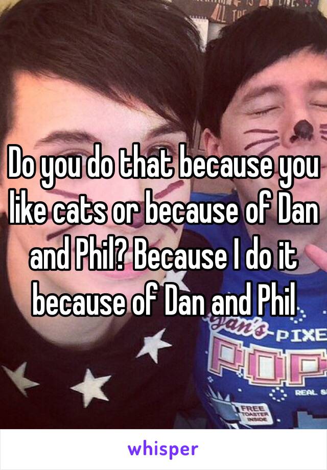 Do you do that because you like cats or because of Dan and Phil? Because I do it because of Dan and Phil