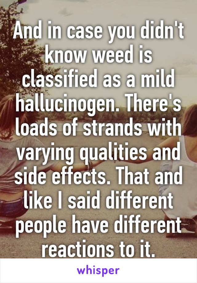 And in case you didn't know weed is classified as a mild hallucinogen. There's loads of strands with varying qualities and side effects. That and like I said different people have different reactions to it.