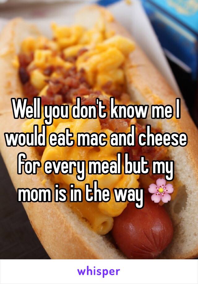 Well you don't know me I would eat mac and cheese for every meal but my mom is in the way 🌸