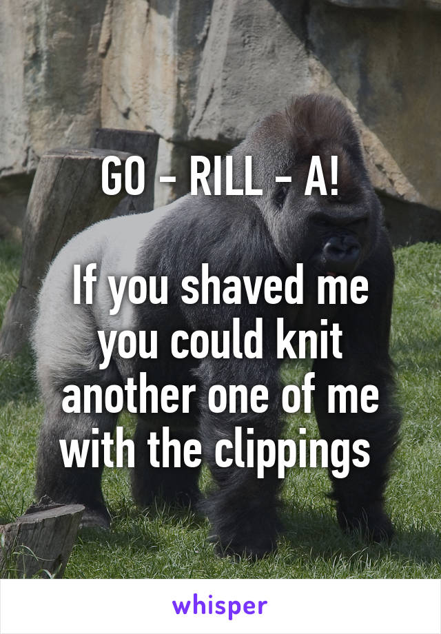 GO - RILL - A!

If you shaved me you could knit another one of me with the clippings 