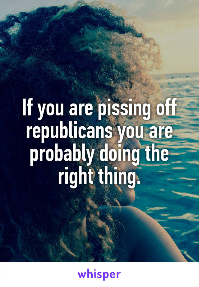 If you are pissing off republicans you are probably doing the right thing.