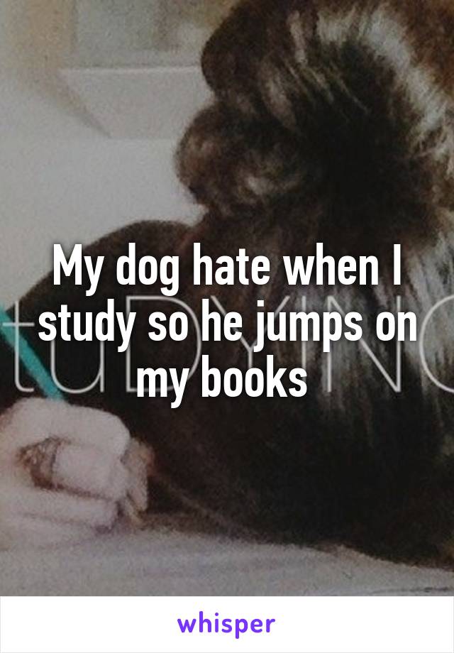 My dog hate when I study so he jumps on my books 