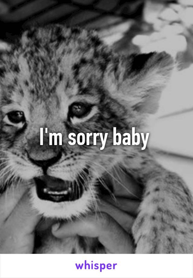 I'm sorry baby 