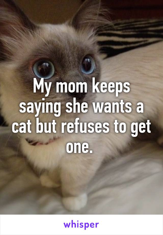My mom keeps saying she wants a cat but refuses to get one. 