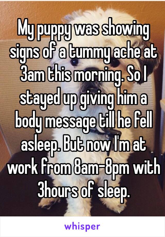 My puppy was showing signs of a tummy ache at 3am this morning. So I stayed up giving him a body message till he fell asleep. But now I'm at work from 8am-8pm with 3hours of sleep. 