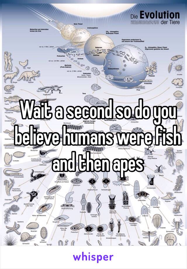 Wait a second so do you believe humans were fish and then apes 