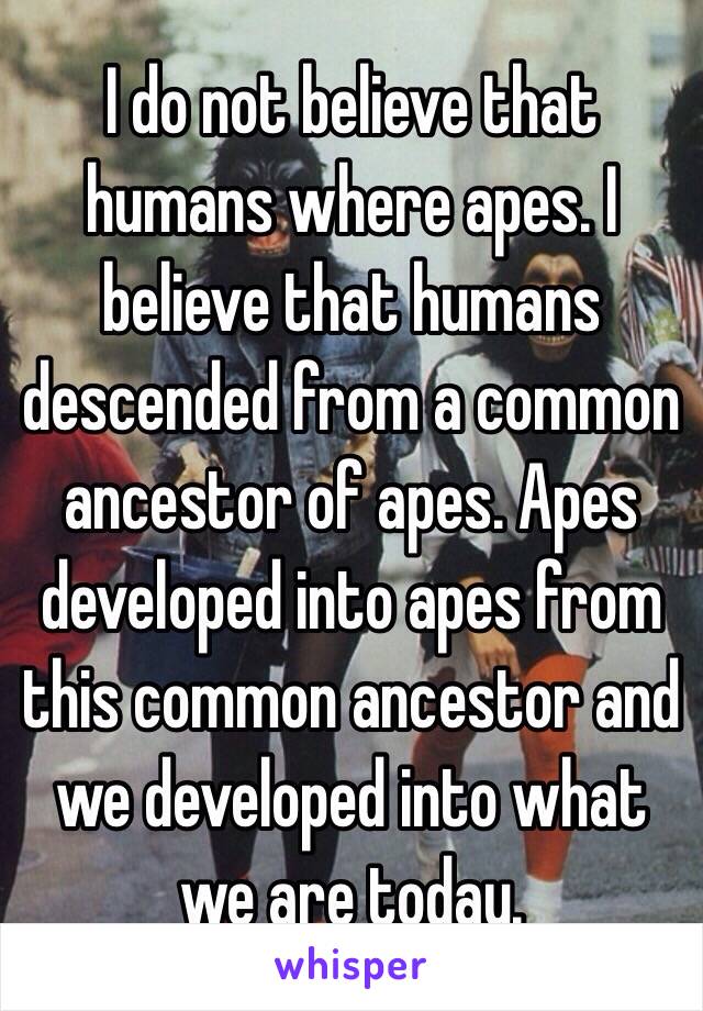 I do not believe that humans where apes. I believe that humans descended from a common ancestor of apes. Apes developed into apes from this common ancestor and we developed into what we are today. 