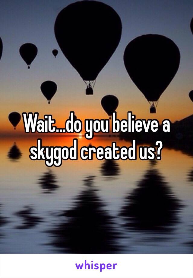 Wait...do you believe a skygod created us?