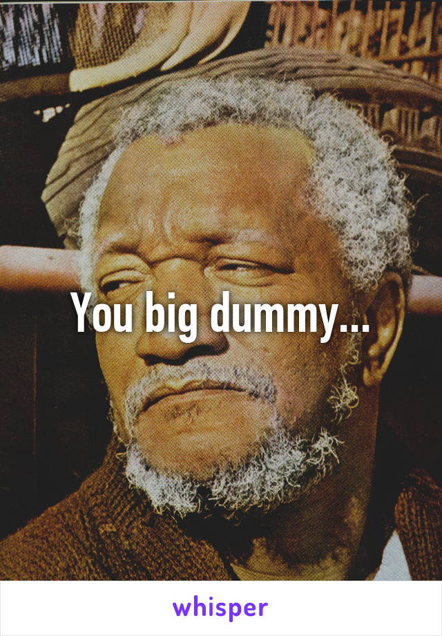 You big dummy...