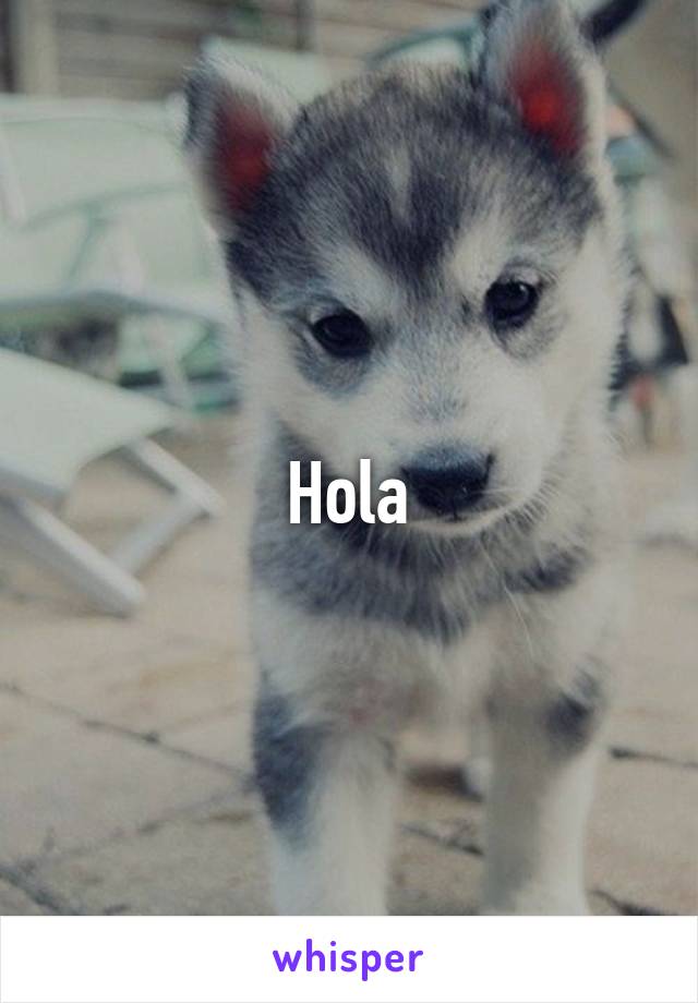 Hola