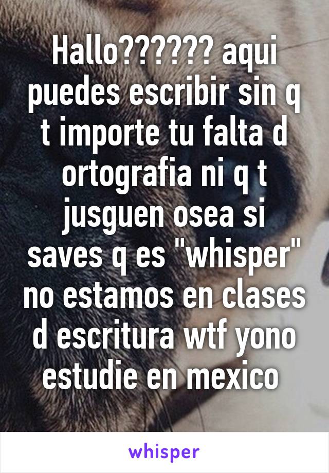 Hallo‼️‼️‼️ aqui puedes escribir sin q t importe tu falta d ortografia ni q t jusguen osea si saves q es "whisper" no estamos en clases d escritura wtf yono estudie en mexico 
