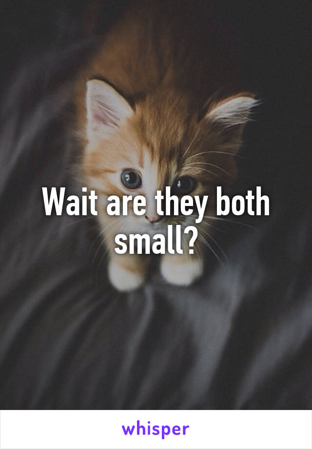 Wait are they both small?