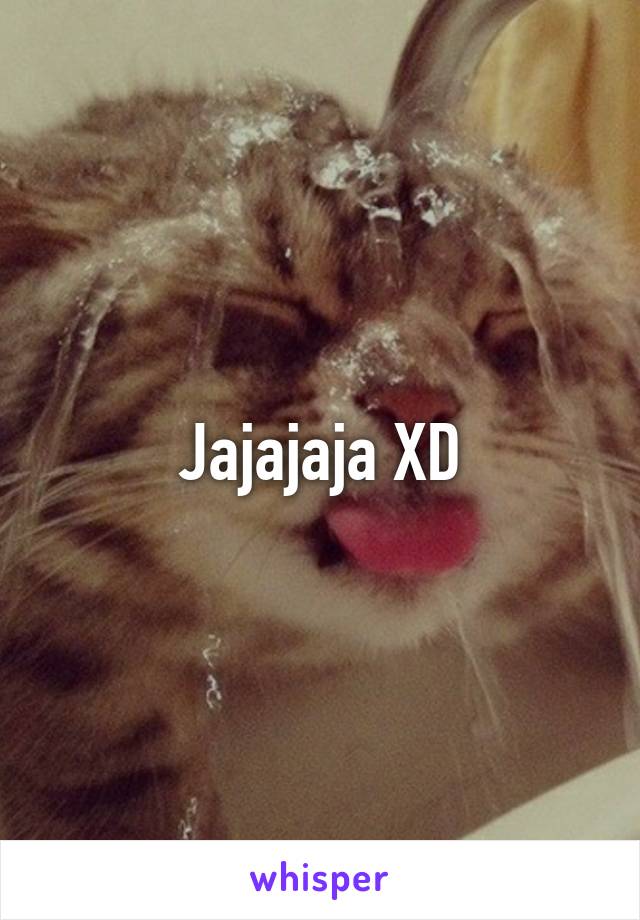 Jajajaja XD