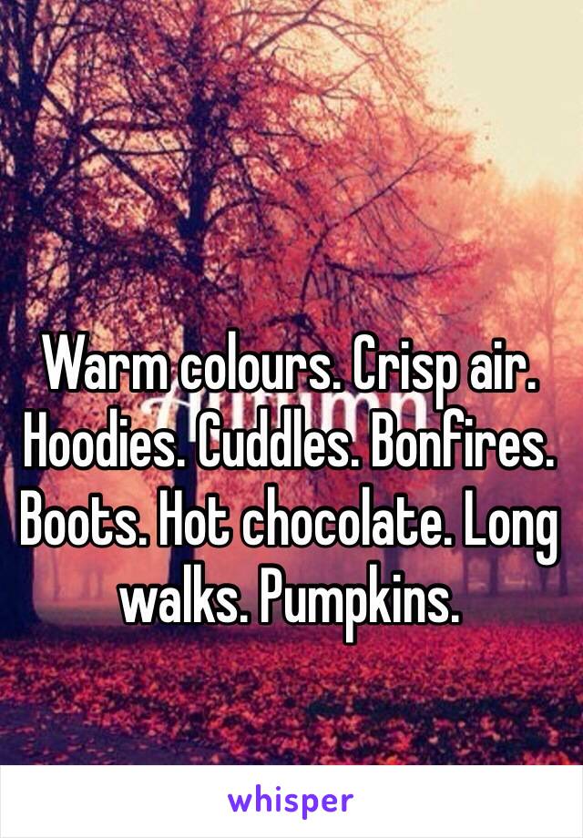 Warm colours. Crisp air. Hoodies. Cuddles. Bonfires. Boots. Hot chocolate. Long walks. Pumpkins. 