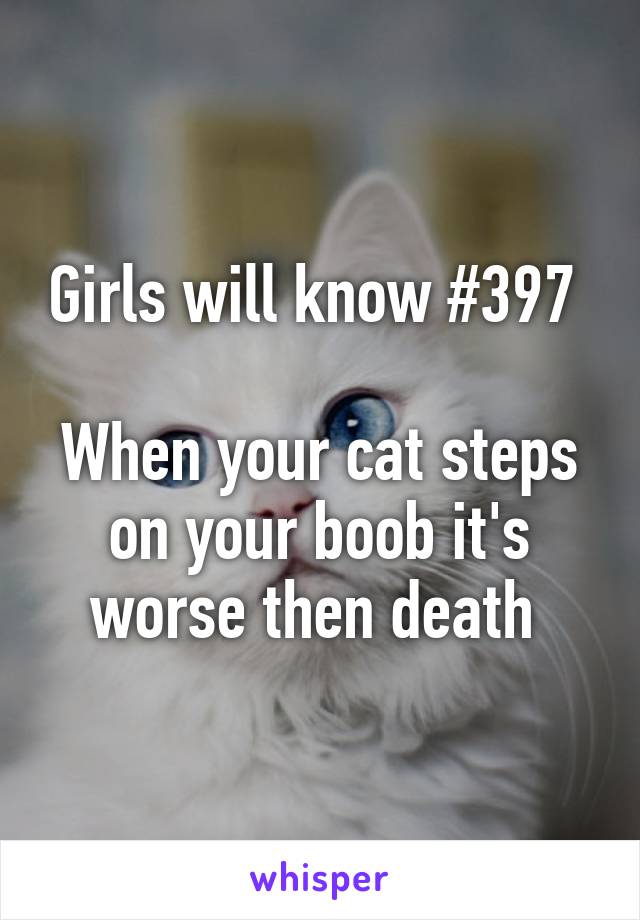 Girls will know #397 

When your cat steps on your boob it's worse then death 